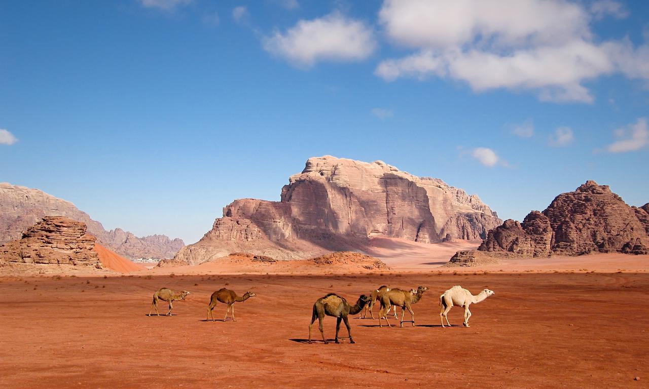 Wadi Rum Moon Light Camp Bagian luar foto