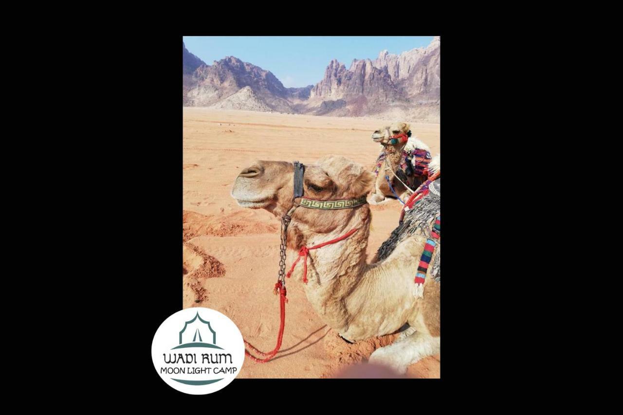 Wadi Rum Moon Light Camp Bagian luar foto